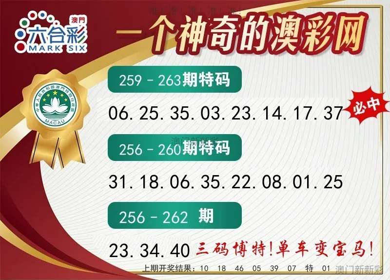 澳彩网