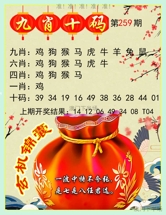 九肖十码
