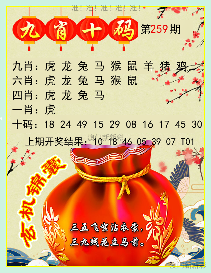 九肖十码