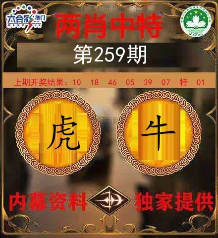 两肖中特